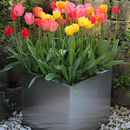 Hotel Tulip Beaulieu Lausanne