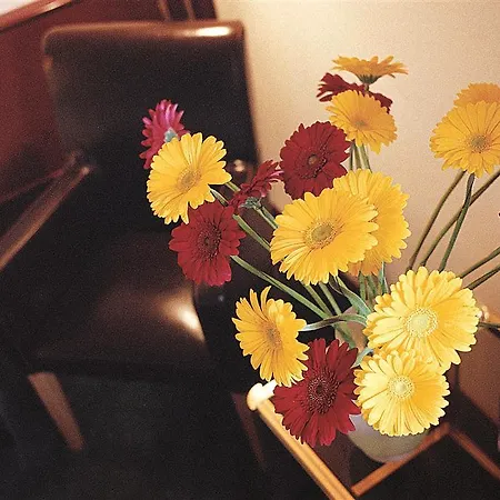 Hotel Tulip Beaulieu